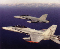 Hornets
